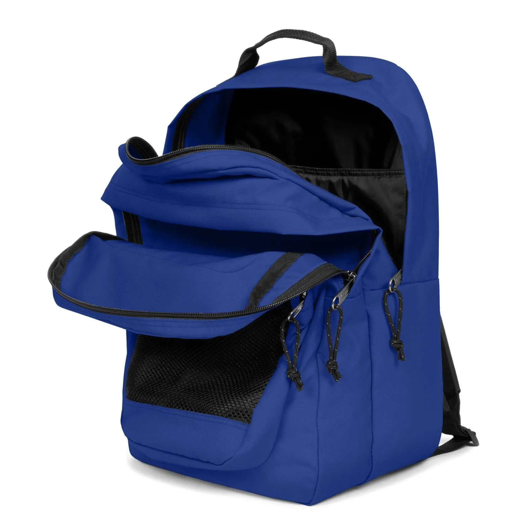 Eastpak Telefoontasjes | Waterdichte Rugzakken>STUDY BUDDY ElectricBlue