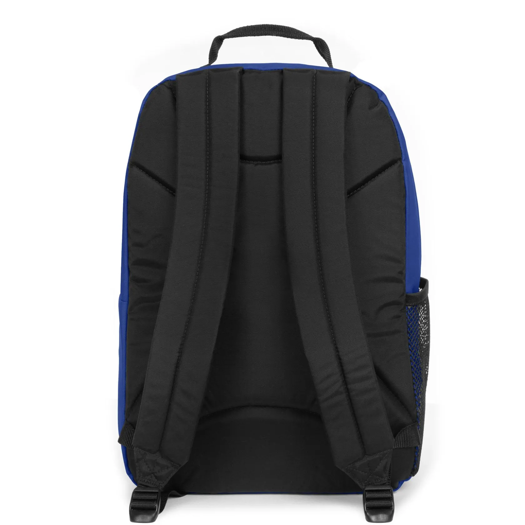 Eastpak Telefoontasjes | Waterdichte Rugzakken>STUDY BUDDY ElectricBlue