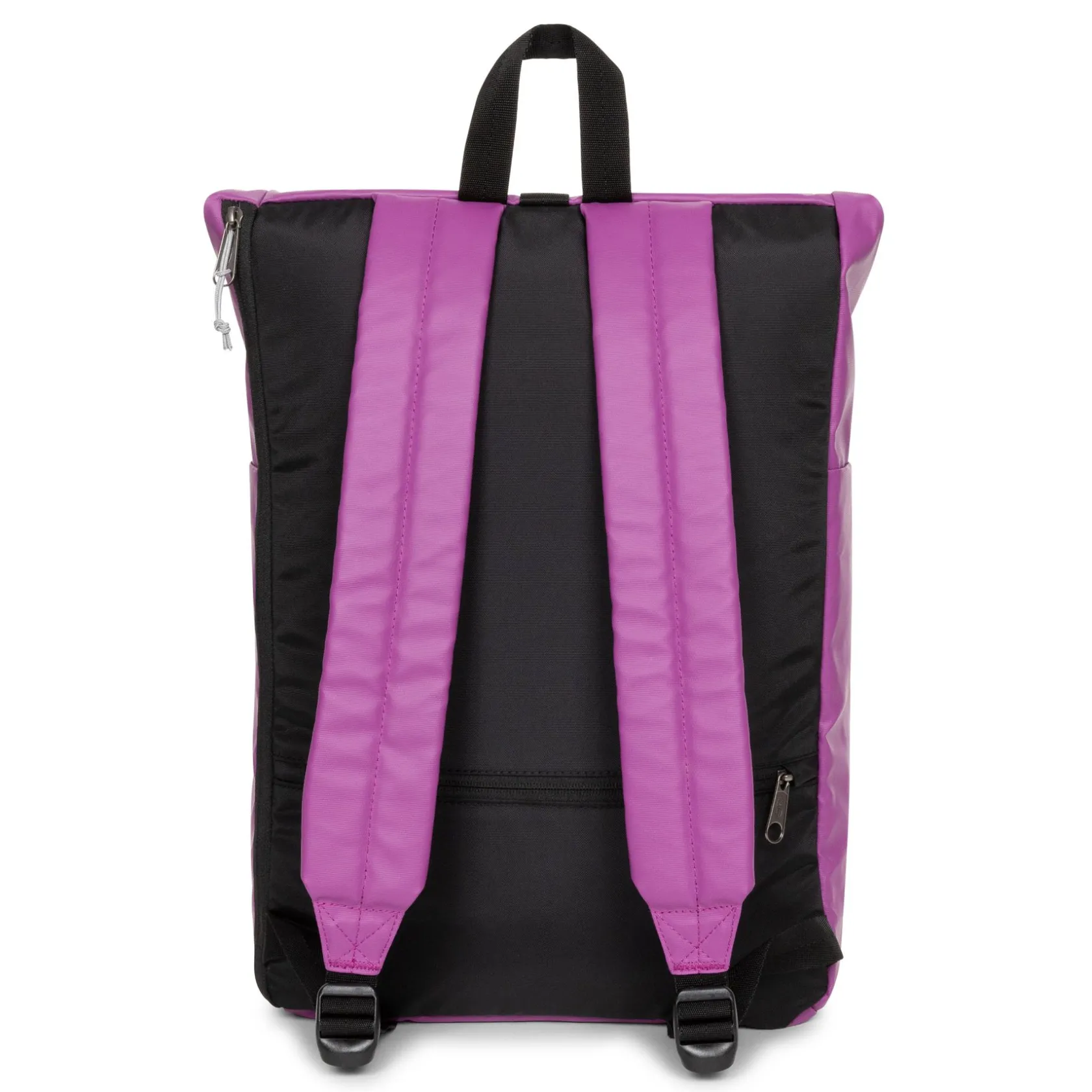 Eastpak Rolltop Rugzakken>UP ROLL TarpFig